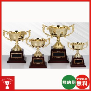 画像: AG9716:野球・空手・ゴルフ・サッカー・全ジャンルに優勝杯・優勝カップ