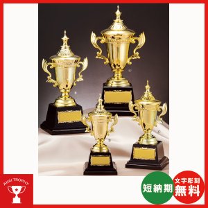 画像: AG9702:野球・空手・ゴルフ・サッカー・全ジャンルに優勝杯・優勝カップ