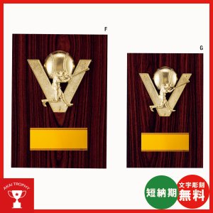 画像: D083：卒業記念・文字彫刻無料・選手宣誓記念・優秀選手賞・卒業記念・ＭＶＰなどに、オススメの野球用の楯　表彰楯