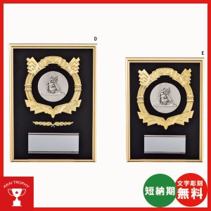 画像1: D093(消防)：在隊記念、勇退記念、退職記念にオススメの消防署楯　表彰楯