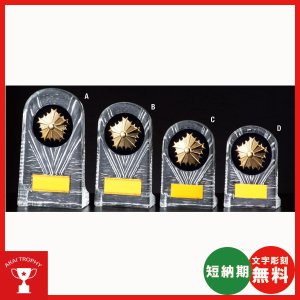 画像1: D089(警察用)：在隊記念・勇退記念・退職記念にオススメの警察用楯　表彰楯