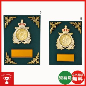 画像1: V133：レリーフ交換式楯　各種競技も対応　表彰楯