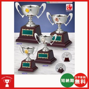 画像1: C1176：サッカー・野球・バスケットボール・剣道・テニスなどに各種大会に使用していただけるレリーフ交換式クリスタル楯