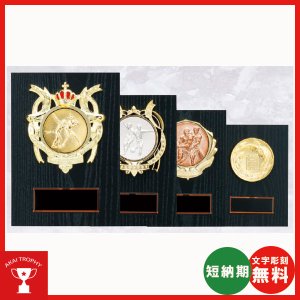 画像: KV5433 レリーフ交換楯(金・銀・銅　樹脂メダル付) 大量購入や、大会の参加賞に使える楯　表彰楯