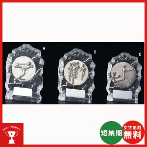 画像: V117：各種大会に使用できるレリーフ交換式クリスタル楯