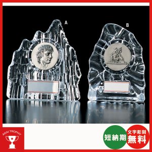 画像: V114:各種大会に使用できるレリーフ交換式クリスタル楯