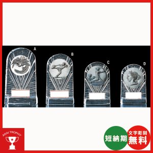 画像: V116：各種大会に使用できるレリーフ交換式クリスタル楯