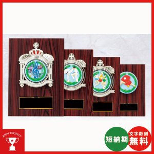 画像: KV-5415：各種大会に使用していただけるＰＶＣレリーフ(60mmΦ)交換式楯