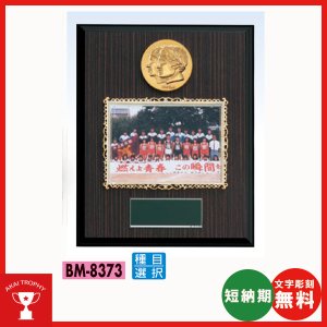 画像: BM8373フォトフレーム付き楯：サッカー・野球・バスケットボール・剣道・テニスなどに各種大会に使用していただけるレリーフ交換式楯