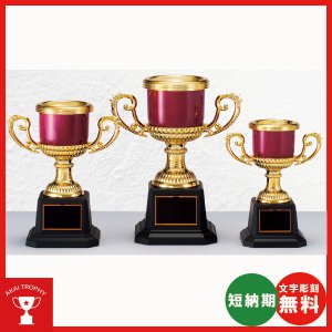 画像: CP4205:野球・空手・ゴルフ・サッカー・全ジャンルに優勝杯・優勝カップ