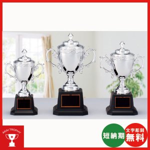 画像: CP143:野球・空手・ゴルフ・サッカー・全ジャンルに優勝杯・優勝カップ