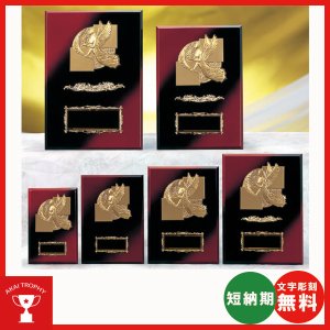 画像: K5009:名入れ・文字彫刻無料・全ジャンルの大会に対応、豪華な記念品楯、表彰楯(盾)