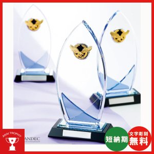 画像: CM361 クリスタルブロンズ 社内表彰・企業表彰・周年記念・コンテスト用に高級感あるガラス製トロフィー・クリスタルトロフィー