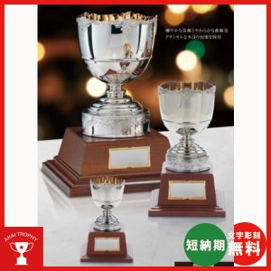 画像1: DC1437：ペナントの付けて持ち回りに使用できる豪華な高級優勝カップ