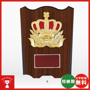 画像: VS5097：名入れ・文字彫刻無料・大量購入や、大会の参加賞や、低予算時に格安な表彰楯　優勝楯