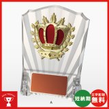 画像: VS5261：名入れ・文字彫刻無料・大量購入や、大会の参加賞や、低予算時に格安な表彰楯　優勝楯