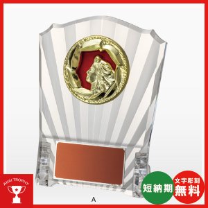 画像: VS5192：名入れ・文字彫刻無料・大量購入や、大会の参加賞や、低予算時に格安な表彰楯　優勝楯