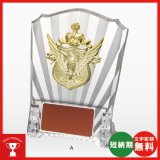画像: VS5193：名入れ・文字彫刻無料・大量購入や、大会の参加賞や、低予算時に格安な表彰楯　優勝楯