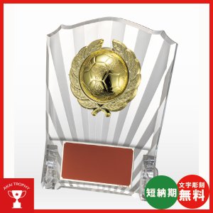 画像: VSX5548HB.：レリーフ交換式楯　各種競技も対応　表彰楯