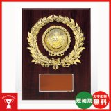 画像: VSX5516HB.：レリーフ交換式楯　各種競技も対応　表彰楯