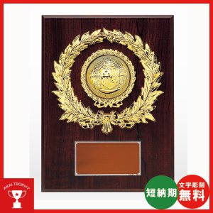 画像: VSX5516HB.：レリーフ交換式楯　各種競技も対応　表彰楯