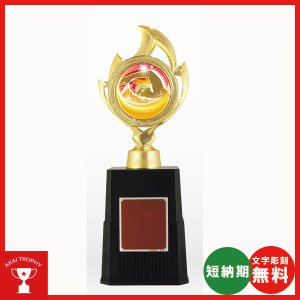 画像: VTX3910DM.：レリーフ交換式トロフィー　各種競技も対応　表彰トロフィー