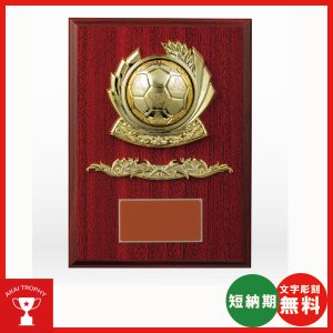 画像: VSX5528HB.：レリーフ交換式楯　各種競技も対応　表彰楯