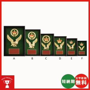 画像2: 一般楯　VS5007：名入れ・文字彫刻無料