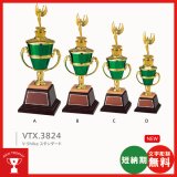 画像: VTX3824：サッカー・野球・バスケットボール・剣道・テニスなどに各種大会に使用していただけるレリーフ交換式トロフィー