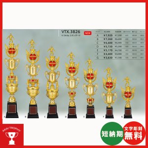 画像: VTX3826：サッカー・野球・バスケットボール・剣道・テニスなどに各種大会に使用していただけるレリーフ交換式トロフィー