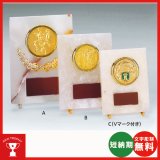 画像: VSX5511：サッカー・野球・バスケットボール・剣道・テニスなどに各種大会に使用していただけるレリーフ交換式トロフィー