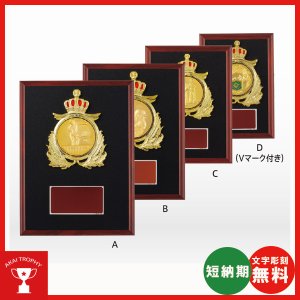 画像: VSX5541：サッカー・野球・バスケットボール・剣道・テニスなどに各種大会に使用していただけるレリーフ交換式トロフィー