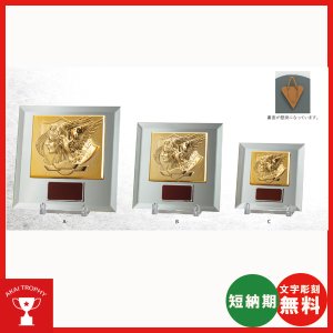 画像: VS5025:名入れ・文字彫刻無料・全大会の入賞者に喜ばれる鏡のキレイな楯 表彰楯