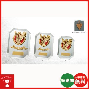 画像: VS5111:名入れ・文字彫刻無料・全大会の入賞者に喜ばれる鏡のキレイな楯 表彰楯