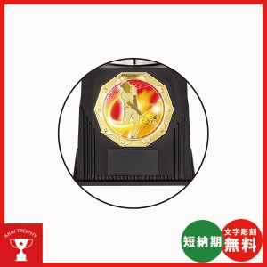 画像2: NoX2562DM.：レリーフ交換式優勝カップ　各種競技も対応　表彰