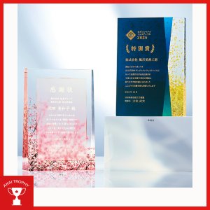 画像: ファインカラーDP　SF103：企業表彰・コンテスト・認定書・周年記念・表彰用品にハイセンスで、おしゃれな表彰楯