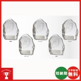 画像: VTX3651：野球・サッカー・テニスなどに各種大会に使用していただけるレリーフ交換式クリスタル楯