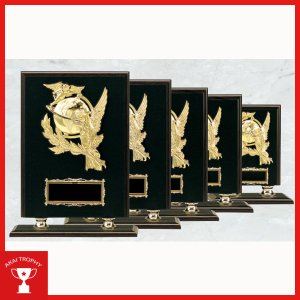 画像: 一般楯　K5037：名入れ・文字彫刻無料 表彰楯