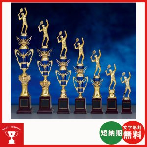 画像: T1918：サッカー・野球・バスケットボール・剣道・テニスなどに各種大会に使用していただけるレリーフ交換式トロフィー
