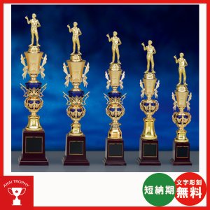 画像: T1917：サッカー・野球・バスケットボール・剣道・テニスなどに各種大会に使用していただけるレリーフ交換式トロフィー