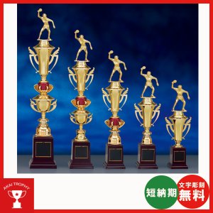 画像: T1916：サッカー・野球・バスケットボール・剣道・テニスなどに各種大会に使用していただけるレリーフ交換式トロフィー