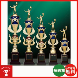 画像: T1045：サッカー・野球・バスケットボール・剣道・テニスなどに各種大会に使用していただけるレリーフ交換式トロフィー