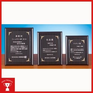 画像: 表彰楯 CK254:勤続表彰・企業表彰・代理店表彰・周年記念・竣工記念・表彰用品にオススメのレーザー彫刻表彰楯