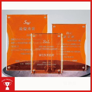 画像: 表彰楯　CK209：勤続表彰・企業表彰・代理店表彰・周年記念・竣工記念・表彰用品にオススメのレーザー彫刻表彰楯