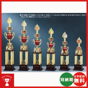 画像: TV2003　メダルレリーフ付4本柱トロフィー　サッカー・空手・野球・バレーボール・バスケットボール