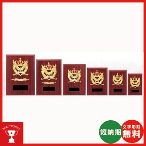 画像: 一般楯 K5049:名入れ・文字彫刻無料 表彰楯