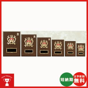 画像: 一般楯 K5048:名入れ・文字彫刻無料 表彰楯