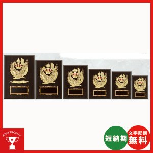 画像: 一般楯 K5050:名入れ・文字彫刻無料 表彰楯