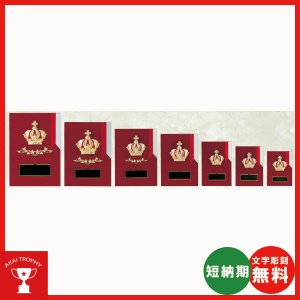 画像: 一般楯 K5058:名入れ・文字彫刻無料 表彰楯