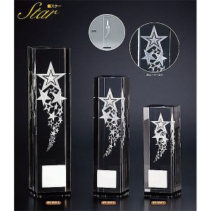 画像: BW-2049(スター) クリスタルブロンズ 高級感あるガラス製 クリスタルトロフィー